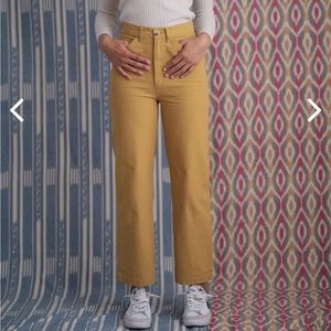 Mollusk Painter Pants